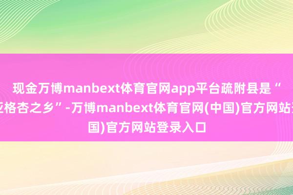 现金万博manbext体育官网app平台疏附县是“中国木亚格杏之乡”-万博manbext体育官网(中国)官方网站登录入口