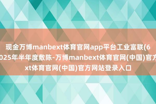 现金万博manbext体育官网app平台工业富联(601138)发布2025年半年度敷陈-万博manbext体育官网(中国)官方网站登录入口