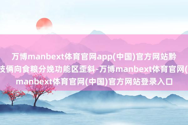 万博manbext体育官网app(中国)官方网站黔江区将高递次农田成就技俩向食粮分娩功能区歪斜-万博manbext体育官网(中国)官方网站登录入口
