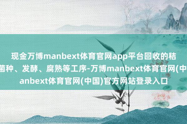 现金万博manbext体育官网app平台回收的秸秆将过程闹翻、搀杂菌种、发酵、腐熟等工序-万博manbext体育官网(中国)官方网站登录入口