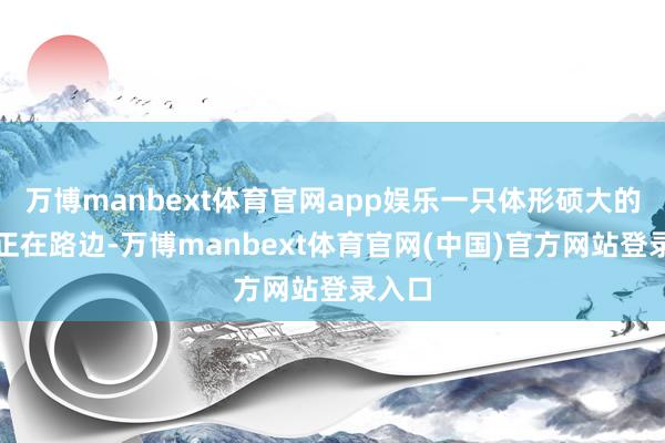 万博manbext体育官网app娱乐一只体形硕大的棕熊正在路边-万博manbext体育官网(中国)官方网站登录入口